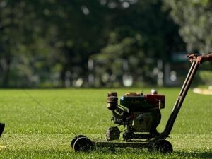 artificial lawn grass Stamford CT